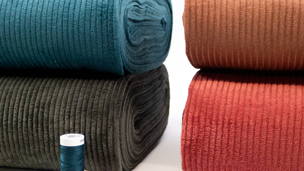 Colorama automnal 🍁 🍄