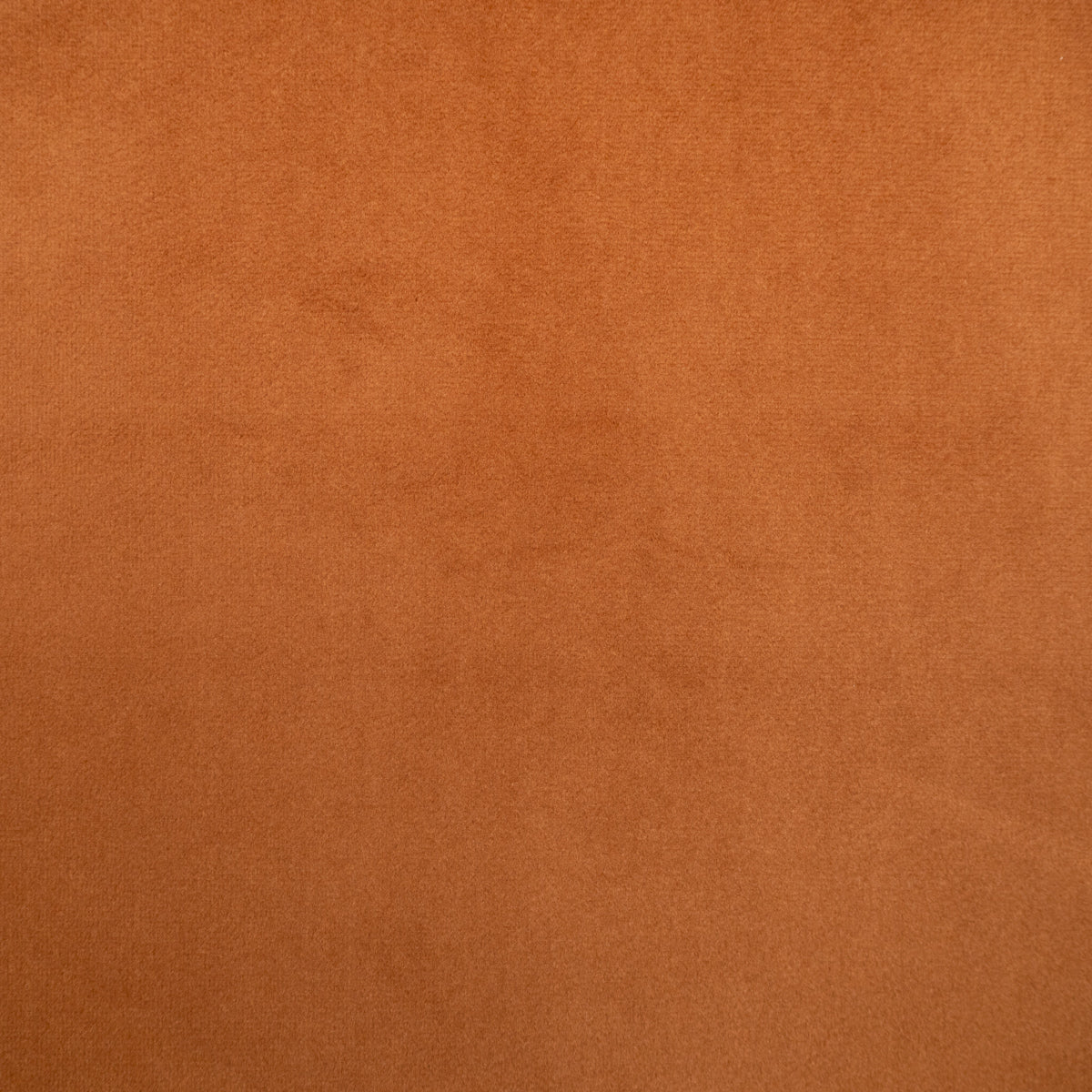 Tissu velours ras camel – vue 2