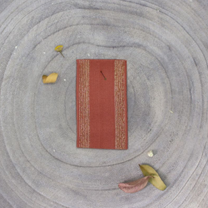 Élastique 35mm ©Atelier Brunette - Rayures dorées Chestnut